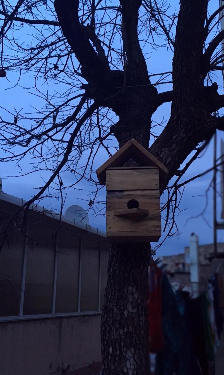 Birdhouse Rooms Tbiliszi Kültér fotó